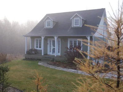 Small ancestral house in the middle of a forest on a misty day.