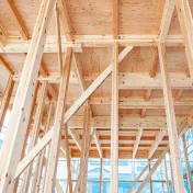 D-blaze fire-retardant treated wood frame and trust