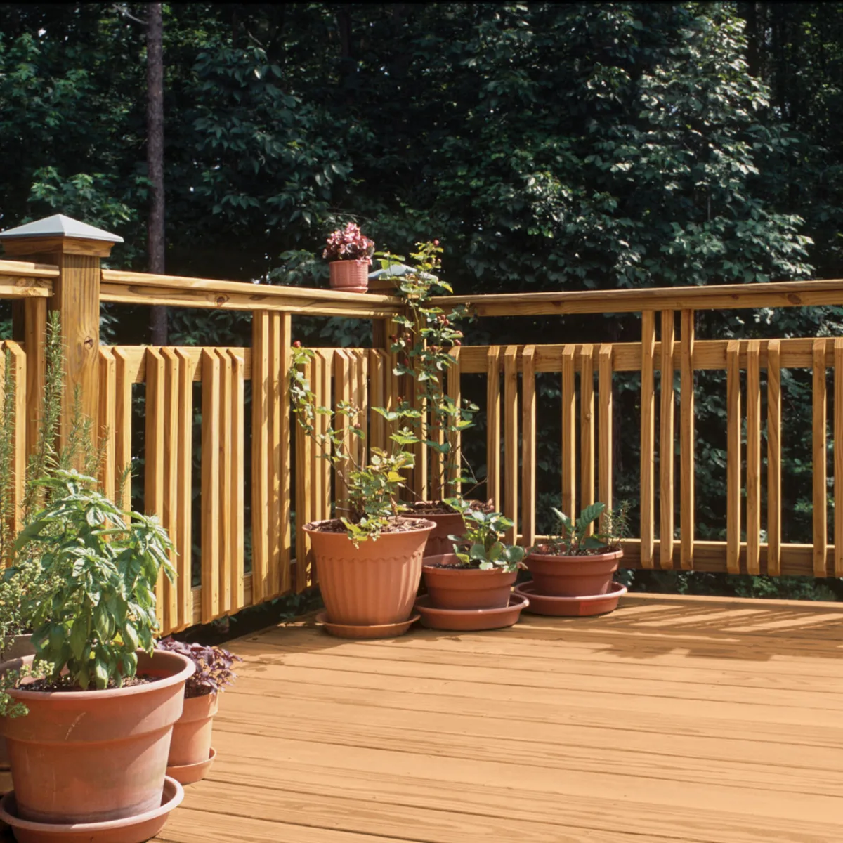 MicroPro Sienna - Bois traité - patio balustrade et plantes