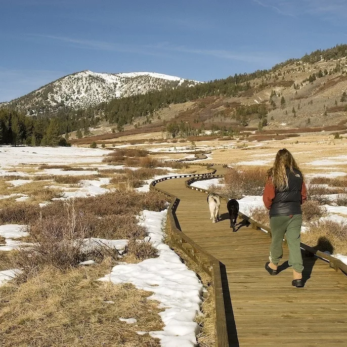 Preserve CA® Treated Wood - Doman Tucker Lumber - Tahoe Meadows people walking