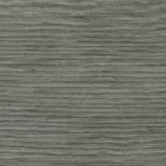 St-Laurent Engineered Wood Siding Bouleaux