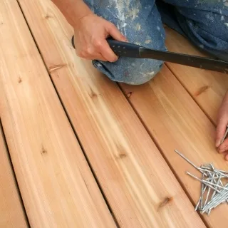 Tree island nails